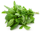 Basil - 40g