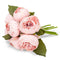 Full Peony Bouquet  - Pink
