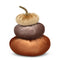 Velvet Pumpkins Stack - Rust