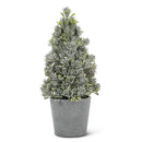 Frost Look Potted Cone Tree