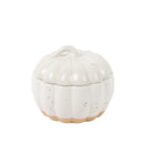 Harvest Pumpkin Soup Bowl Stone