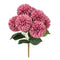 Large 7 Pompom Dahlia Bouquet -  Pink