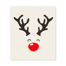 Rudolph & Names Dishcloths. Set of 2