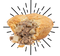 Pie Commission Tourtiere